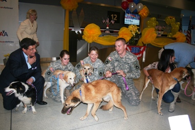 dogweb