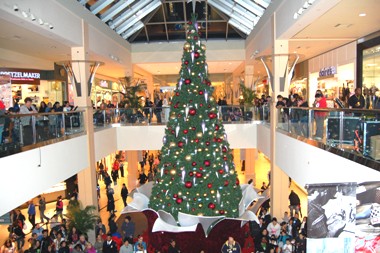 treew