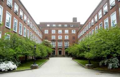 City chops down last Boro Hall trees