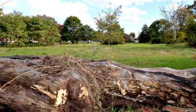 CB 12 seeks answer to dirt bike dispute