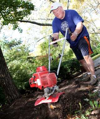 Queens second best place to live in city: Survey