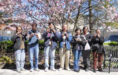 Qns. group calls for senior arts initiative