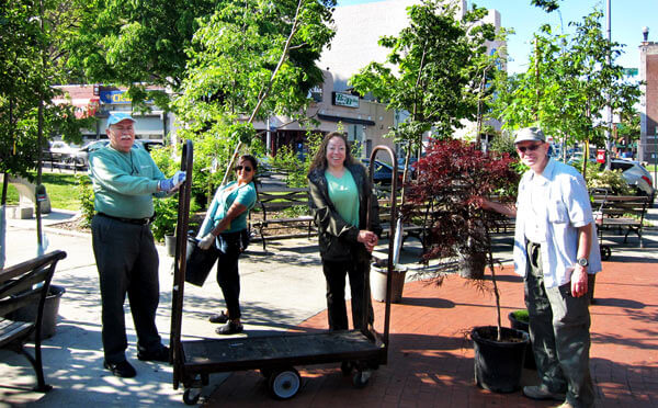 Alliance looks to green Forest Hills with trees