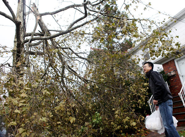 Avella wants downed trees cleared, power restored in Queens