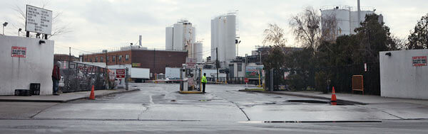 Dairy supply runs dry for Jamaica distributor