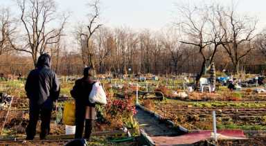 Kissena garden looks to future after suicide try