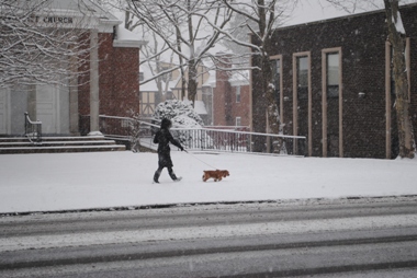 Snow-011w