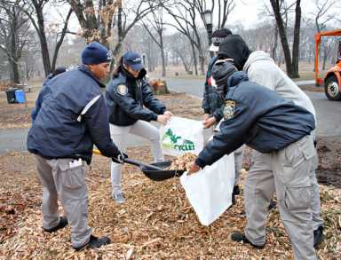 Boro MulchFest brought in more than 3,000 trees