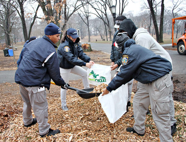 Boro MulchFest brought in more than 3,000 trees