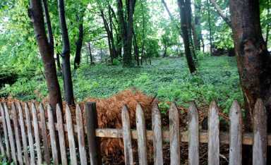 City councilman weighs buying Brinckerhoff Cemetery