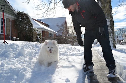 dog snow with owner 1