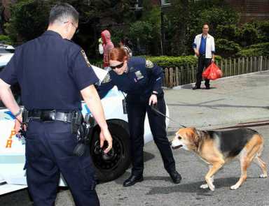 Pennsylvanian gets 50 years in Flushing murder