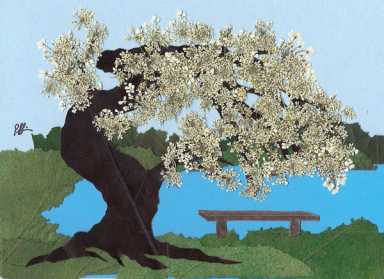 Forest Hills biz offers art with organic foods