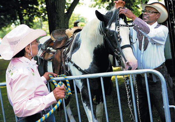 ASPCA says it found no cruelty at Howard Beach stables