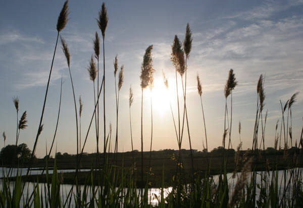 Body found floating near Hook Creek Wildlife Santuary