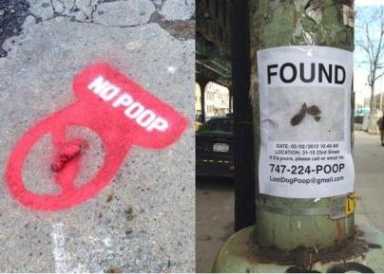 DOG POOP PROJECT