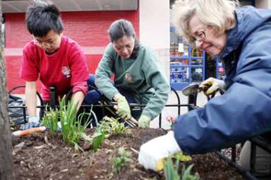 Spring flowers bloom with help of Forest Hills helpers
