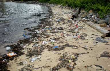 Waterway inspectors scour Queens shorelines