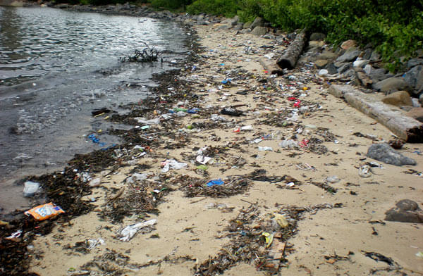 Waterway inspectors scour Queens shorelines