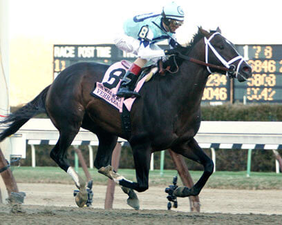 Bridge and tunnel victory in Wood Memorial