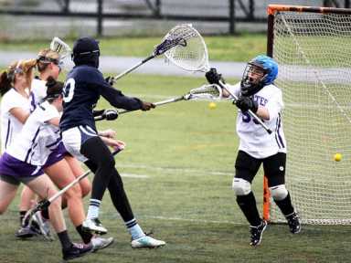 Dolphins fall short without star keeper