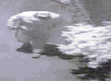 Group of thieves tie up family in Whitestone home invasion: NYPD