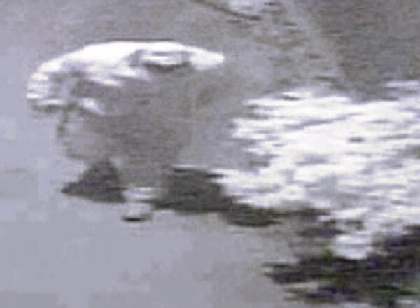 Group of thieves tie up family in Whitestone home invasion: NYPD