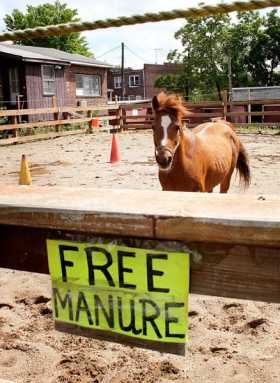 Fresh Mdws horse stable set for sale over weekend