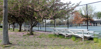 USTA land deal panned by critics