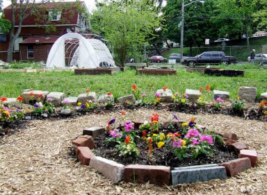 Elmhurst eyesore transformed into community garden
