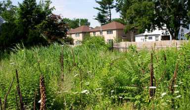 Flushing civic lives by own code