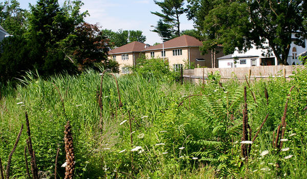 Flushing civic lives by own code