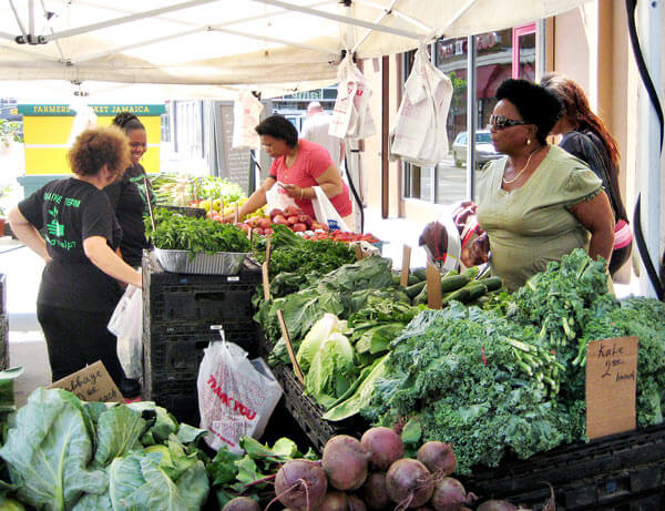Jamaica farmers market lures food stamp recipients