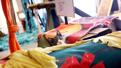 Mini city built for kittens promotes adoption [With Video]