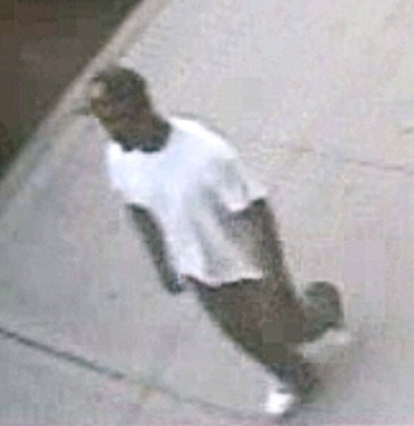 LIC muggers punch, steal from victims: NYPD [With Video]
