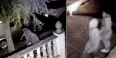 Molotov cocktails fail to damage home: Cops [With Video]