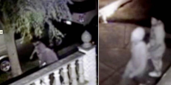 Molotov cocktails fail to damage home: Cops [With Video]