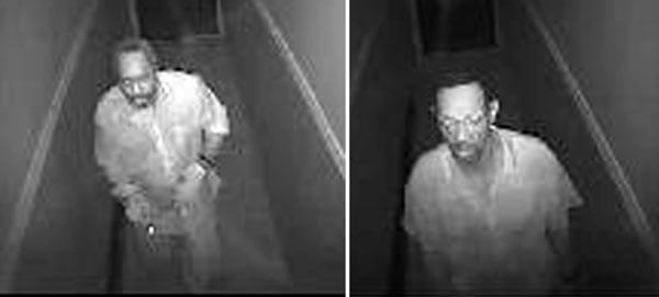 Suspects stole copper pipe from empty Woodhaven building: Police