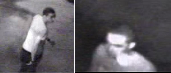 Cops charge Sunnyside man with arson spree: DA