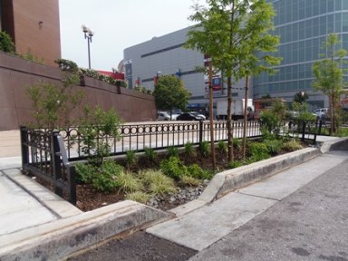 The Department of Environmental Protection plans to install hundreds of right-of-way bioswales in Queens and around the city by the end of the year, like this one near Queens Center Mall.