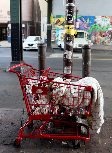 Roundup of shopping carts clears trash in Dutch Kills