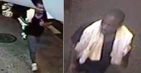 Search is on for suspect in Woodhaven stabbing