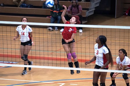 Allison Li had 12 digs in the Cardinals’ loss to City College New York.