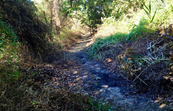 Parks restores Doug pathway to waterfront