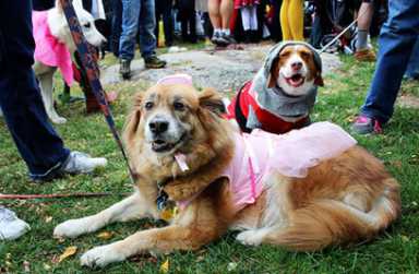 Scare up fun in Queens on Halloween
