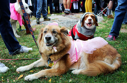 Scare up fun in Queens on Halloween