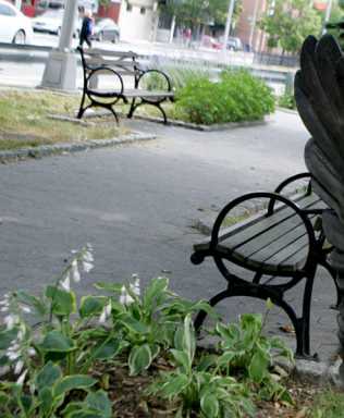 Homeless man beaten to death in Sunnyside Park