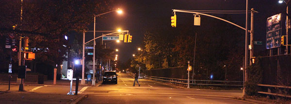 Fresh Meadows pedestrian dies in Horace Harding accident: Police