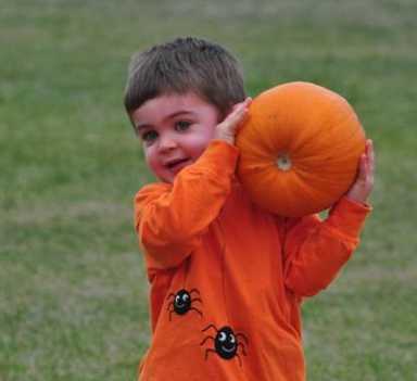 owen