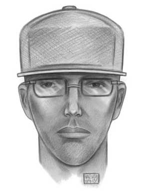 Police looking for man who couldn’t steal purse in LIC: NYPD